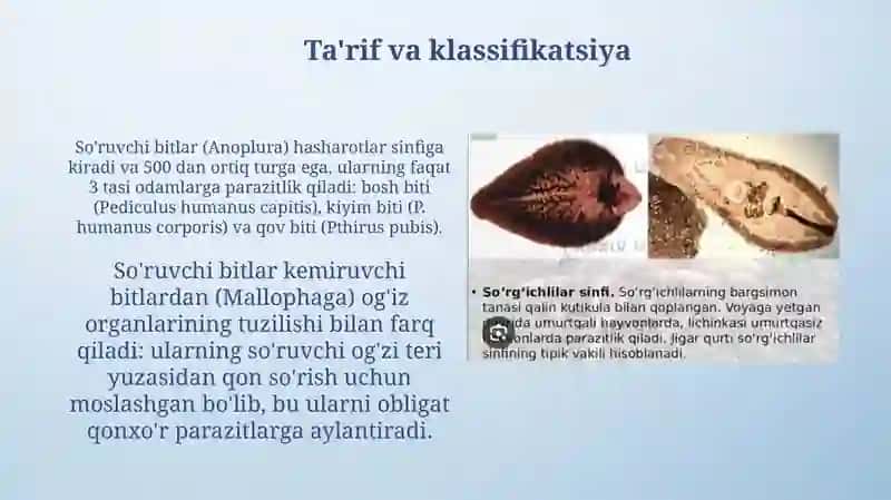 Sorgichlilar -odam parazitlari 3