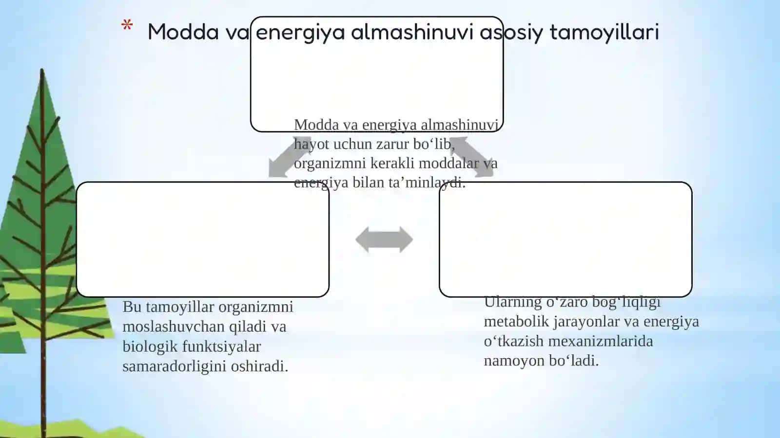 Modda va energiya almashinuvi 3