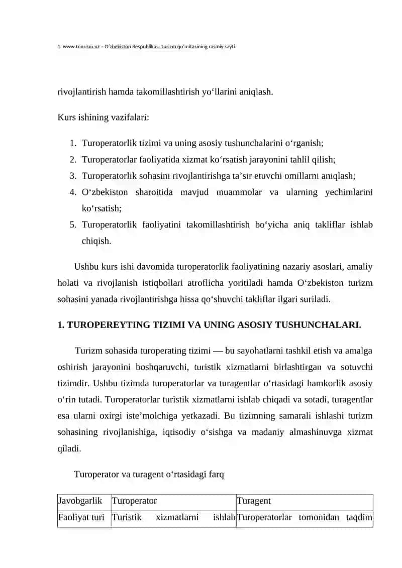 TUROPEREYTINGDA XIZMAT KO'RSATISHNI TASHKIL QILISH 3