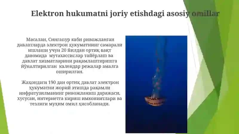 Elektron hukumatni joriy etishning jahon tajribasi 3
