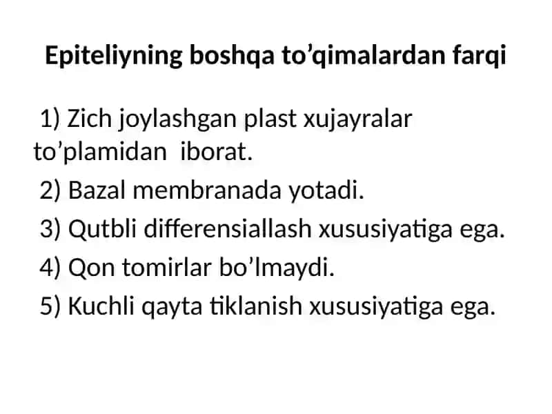 Epiteliyto’qimasi 3