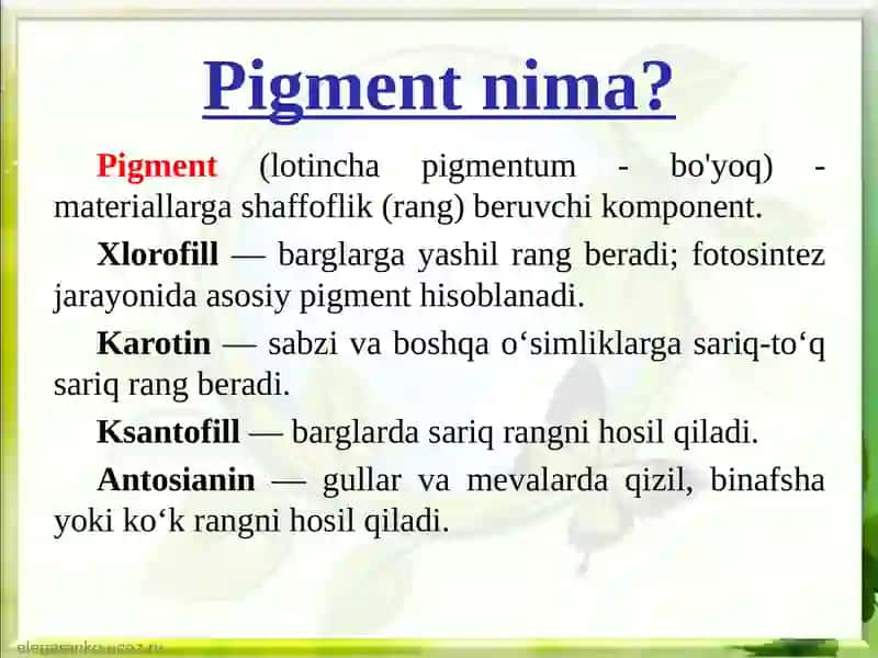 Pigmentlar va ularning xilma-xilligi 3