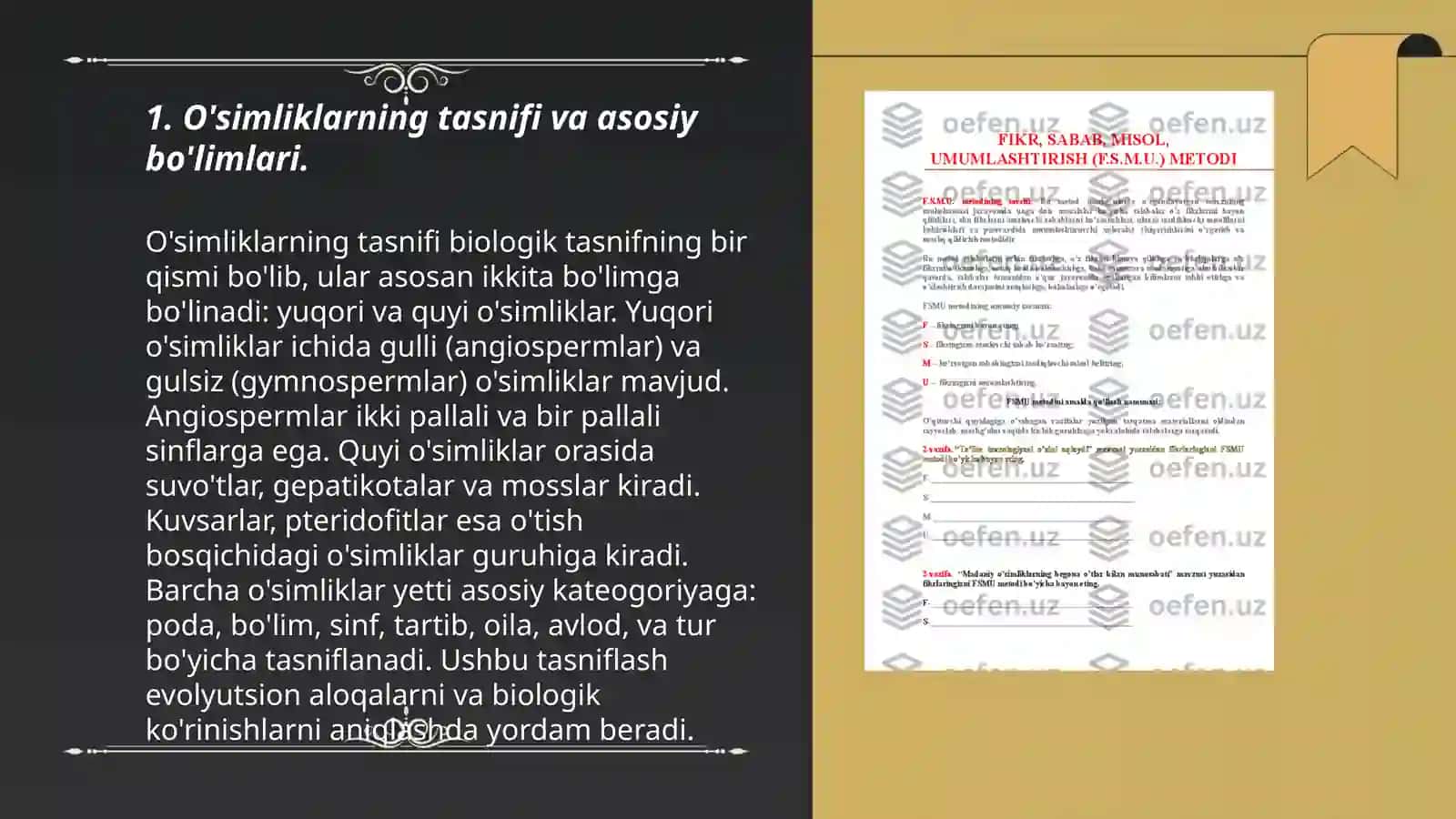 O'simliklarning asosiy bo'limlari 3