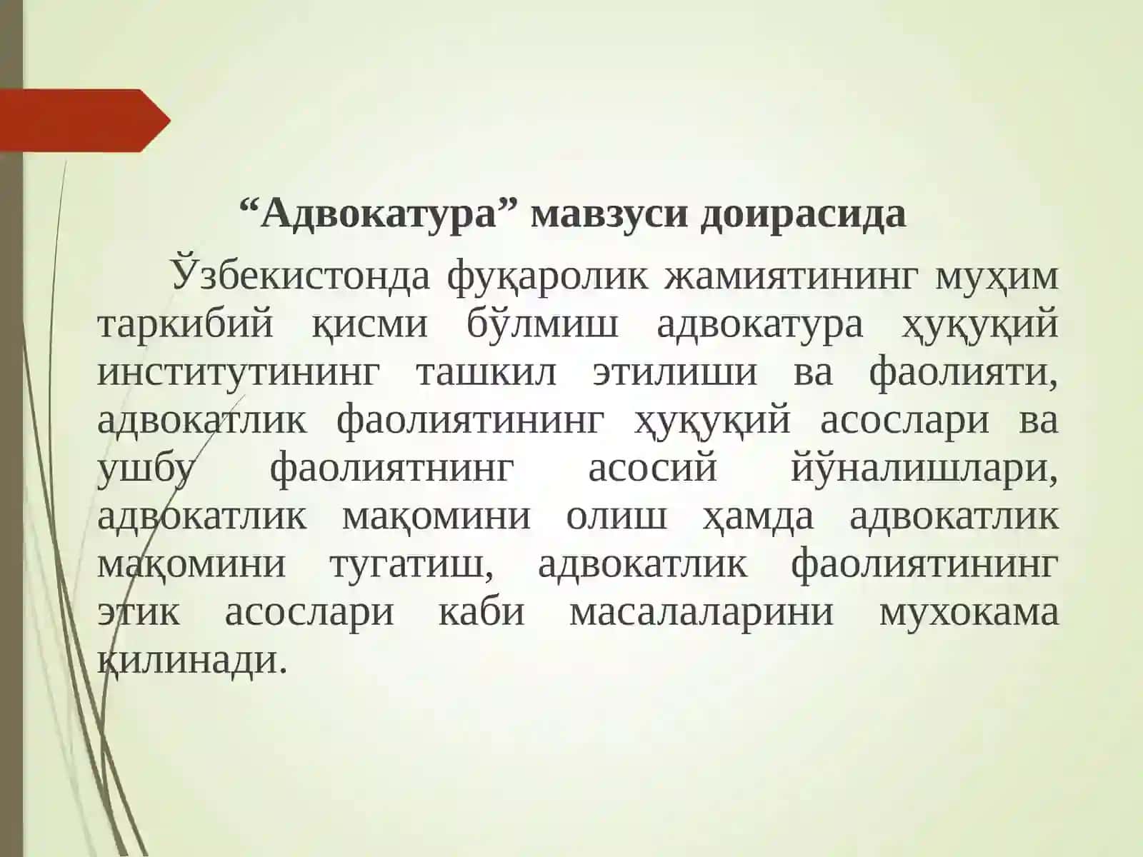 Адвокатура 3