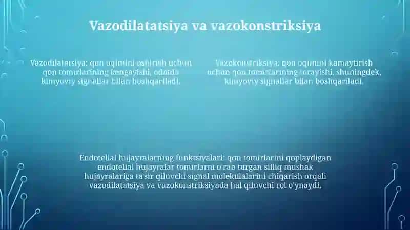 Qon Tomir Endoteliysining Funksiyalari 3