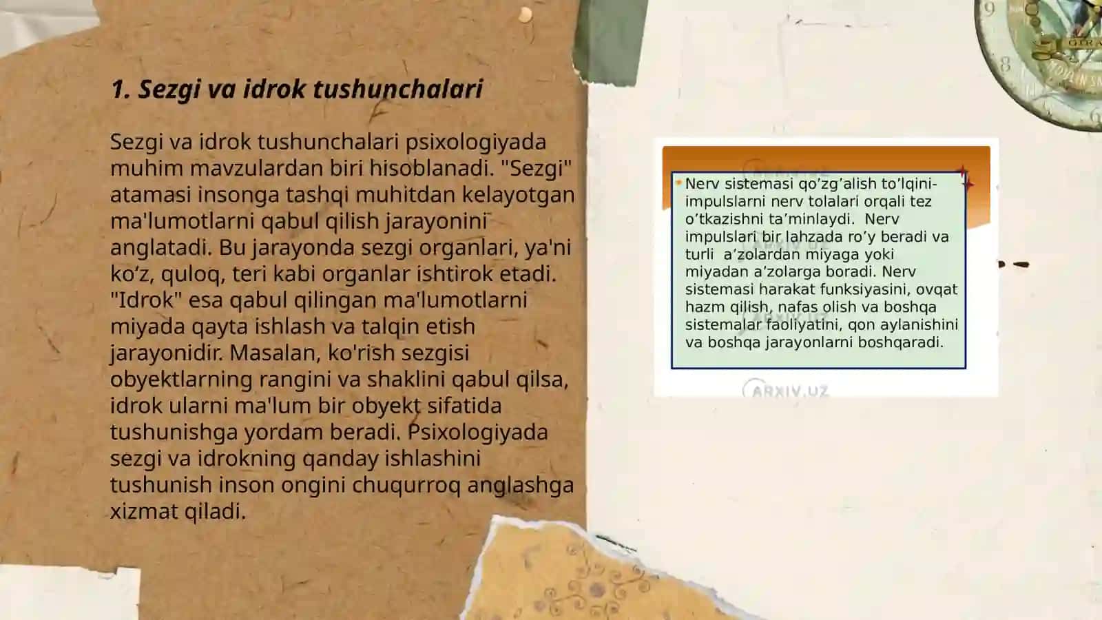 Sezginlar va idrok tushunchalari 3