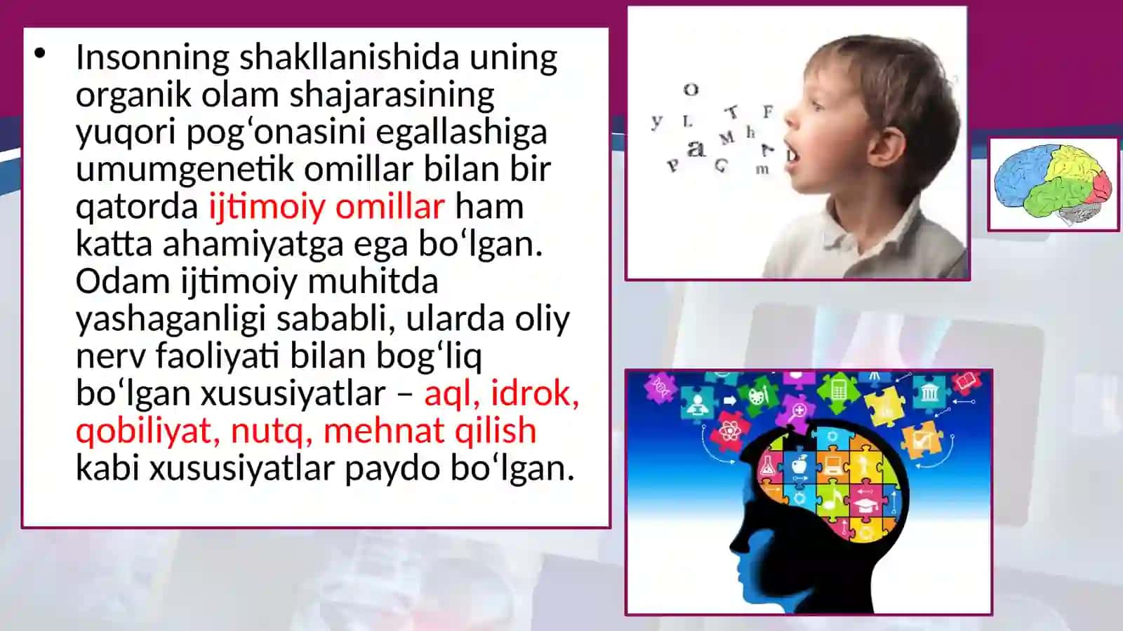 Genetikavainsonsalomatligi 3