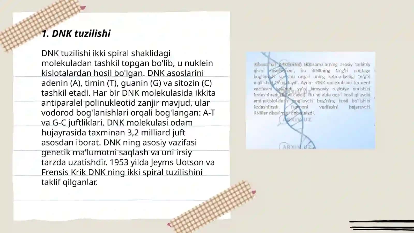 DNK replikatsiyasi 3