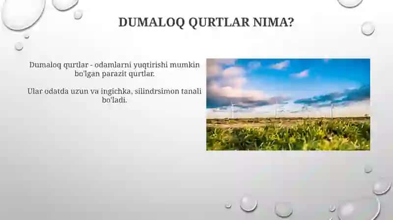 Dumaloq qurtlar 3