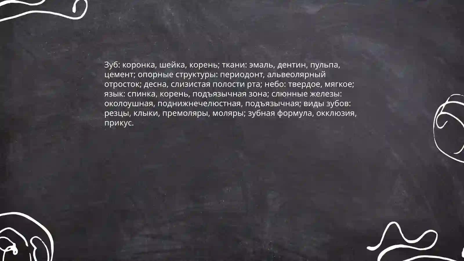 Лексическая тема стоматологическая терминология 3
