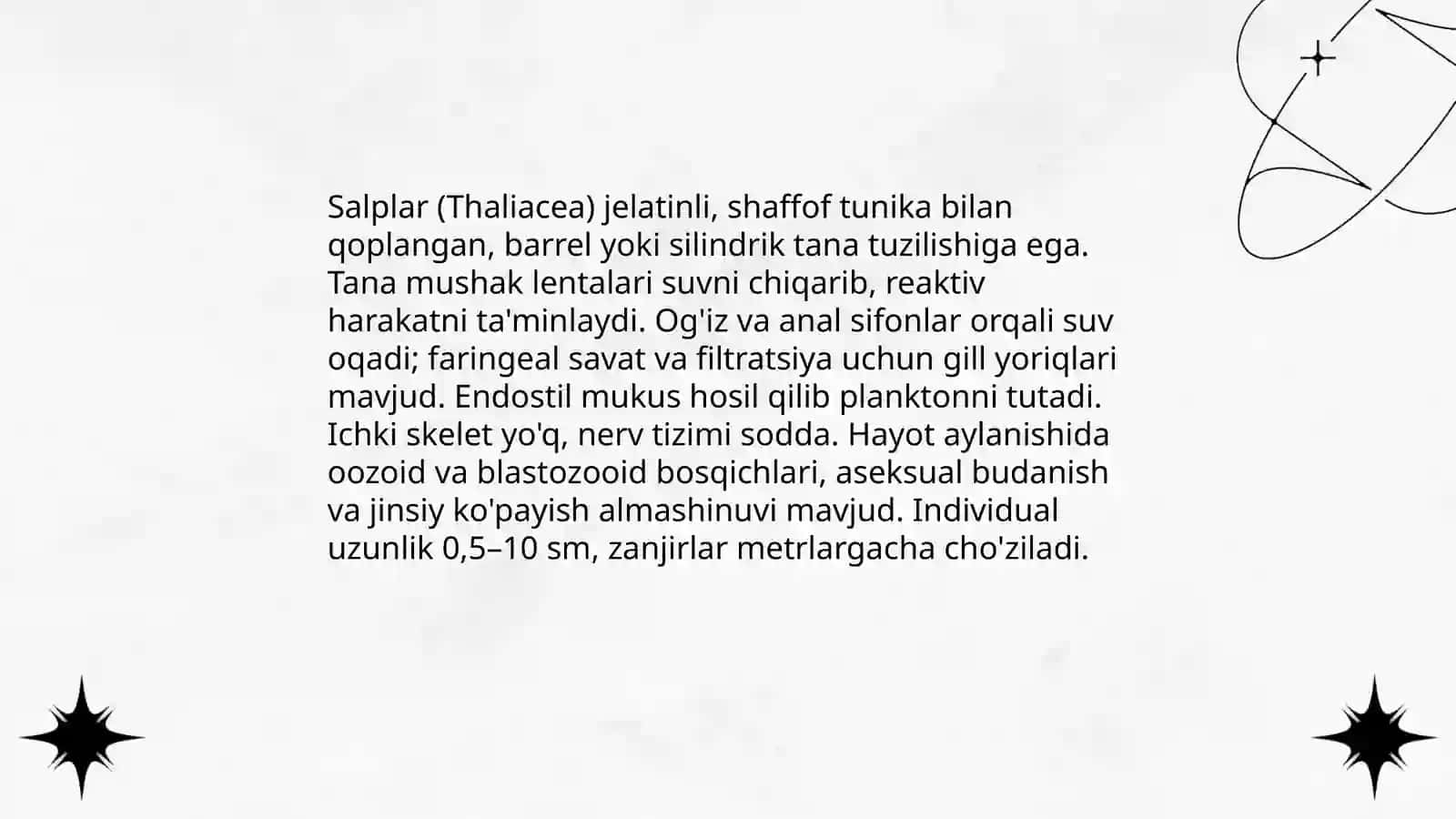 Salplar va appendikulyariyaning sinfi 3