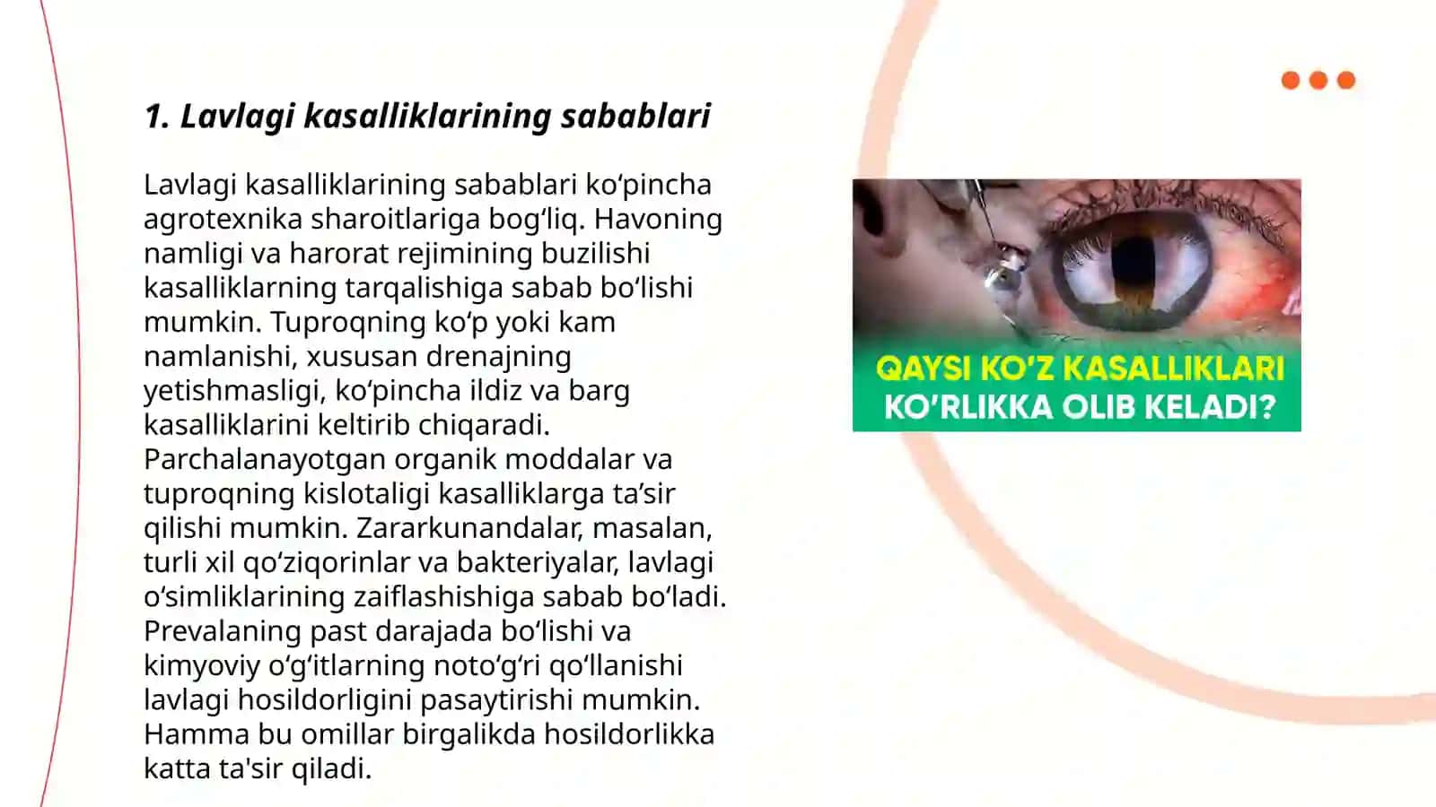 Lavlagi kasalliklari 3
