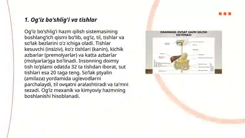 Hazm qilish sistemasi 3