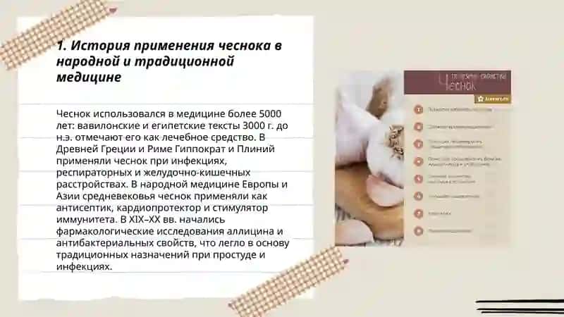 План: Целебные свойства чеснока 3