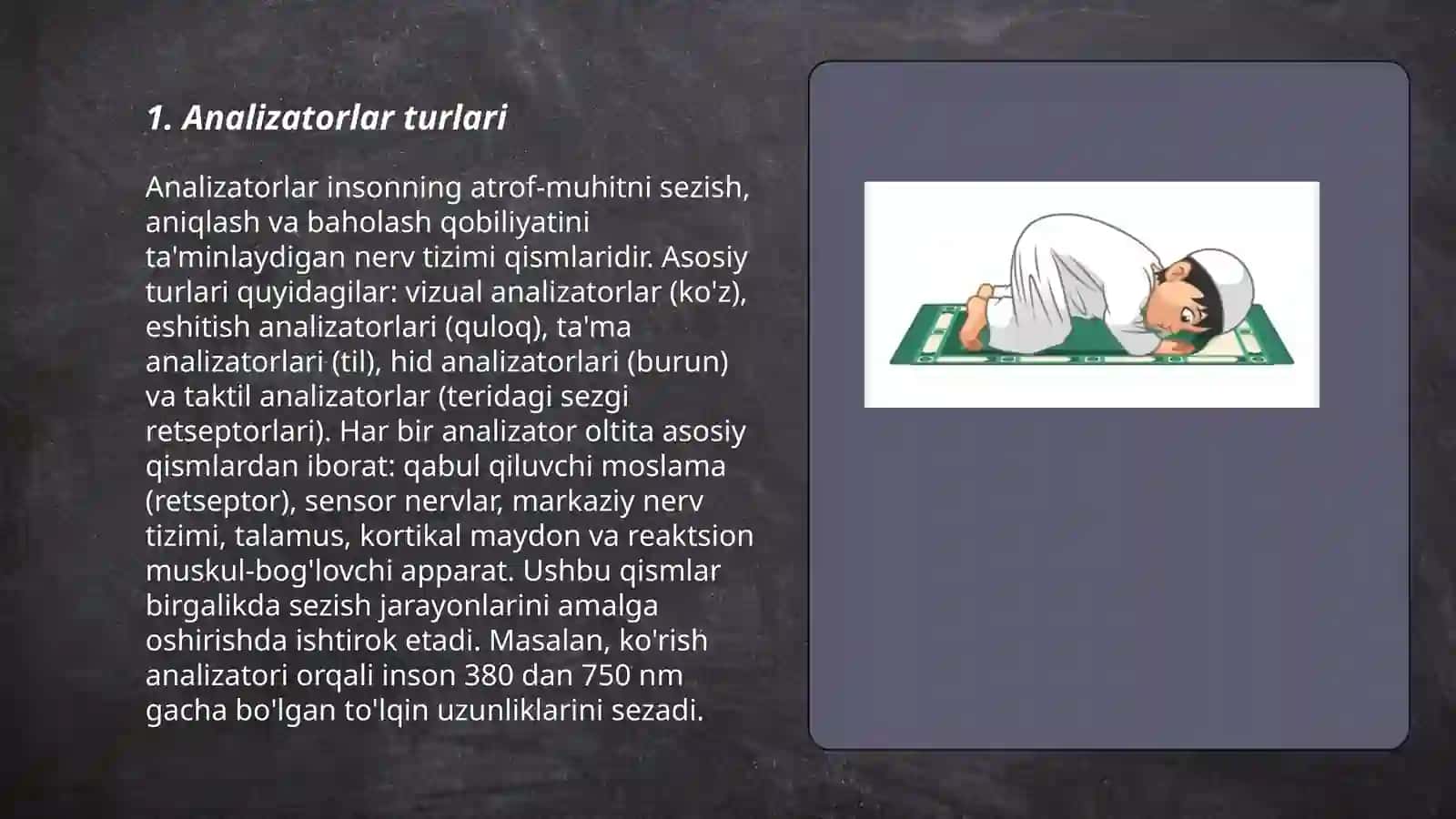 Analizatorlar 3