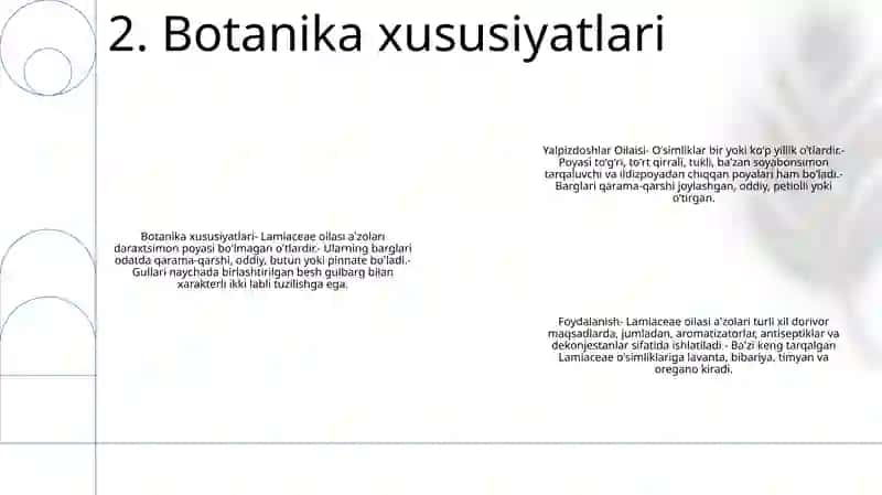 Yalpizdoshlar Oilasi 3