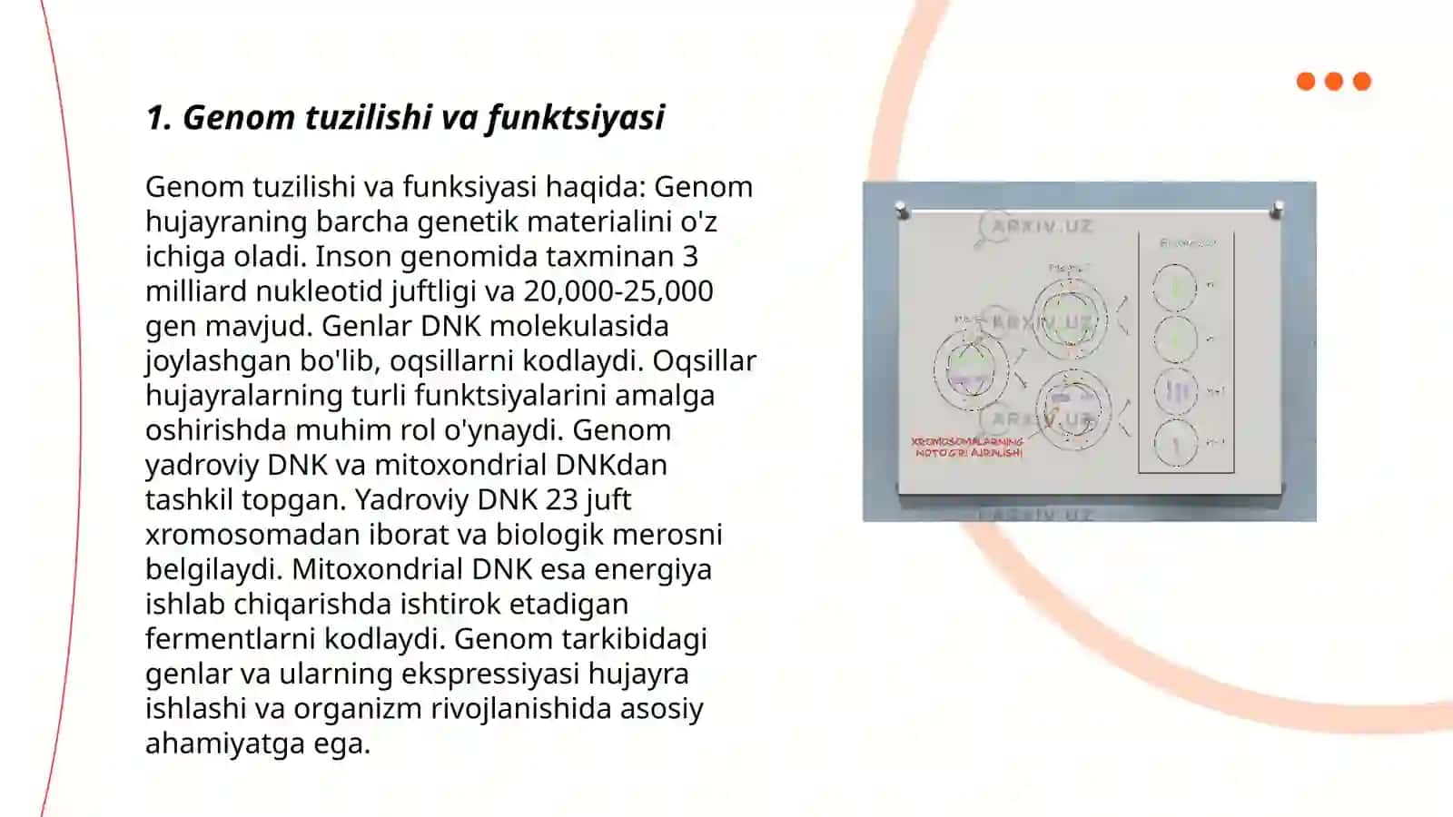 Gen va genom strukturalari. DNK va xromosoma modellari 3