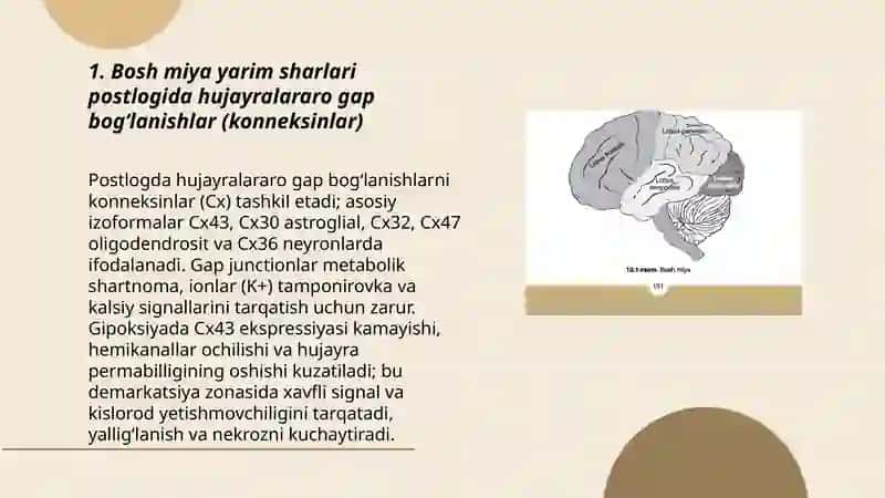 Bosh Miya Yarim Sharlari Postlogi 3
