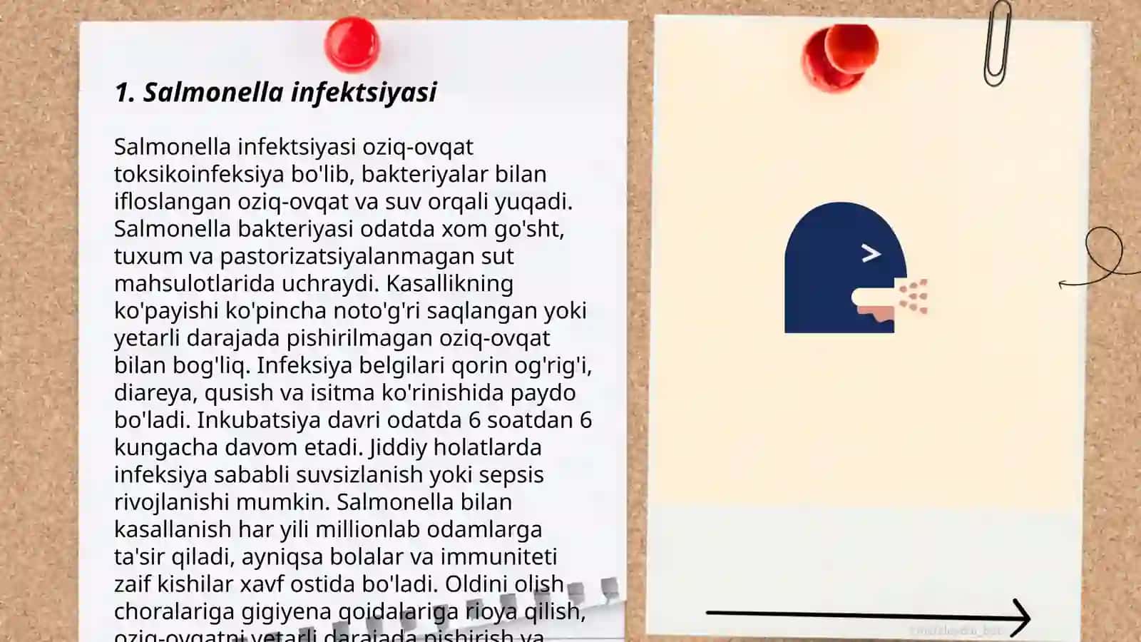 Salmonella infektsiyasi 3