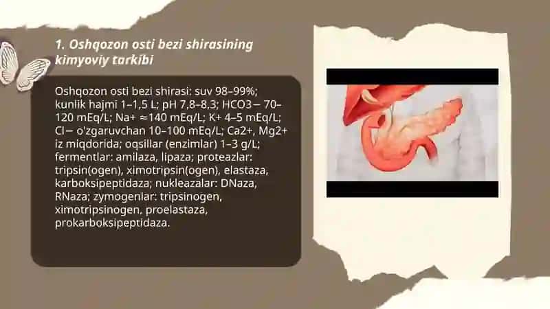 Oshqozon osti bezi shirasi 3
