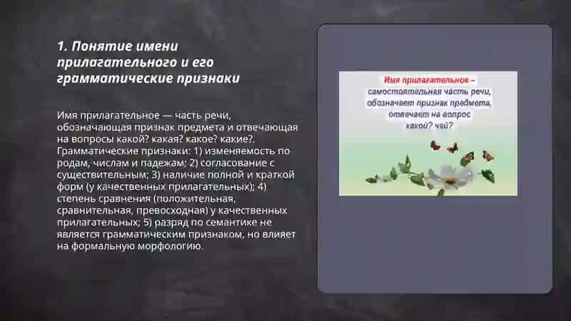 Имя прилагательное и его классификация 3