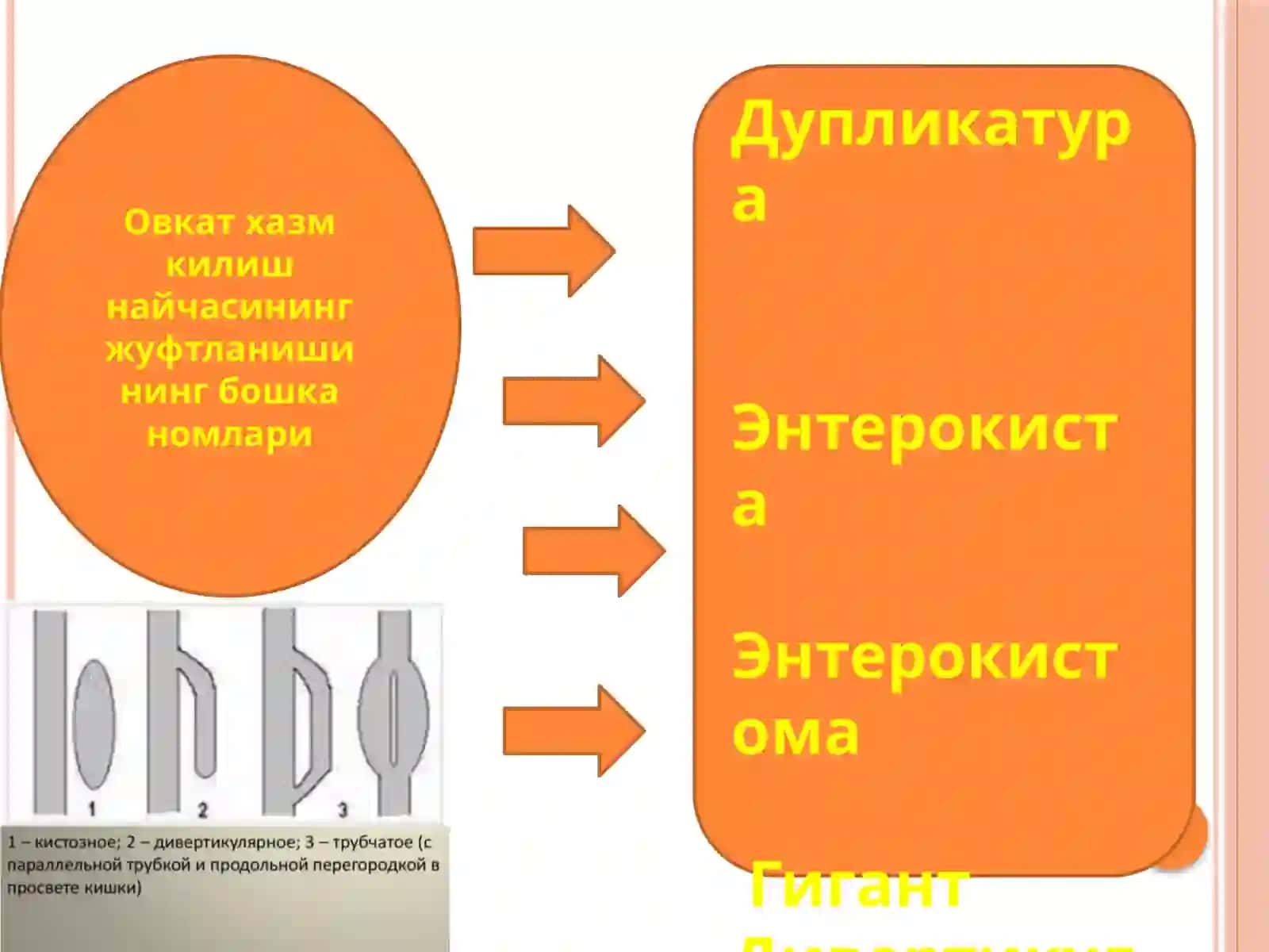 Хазм килиш найи иккиланиши 3
