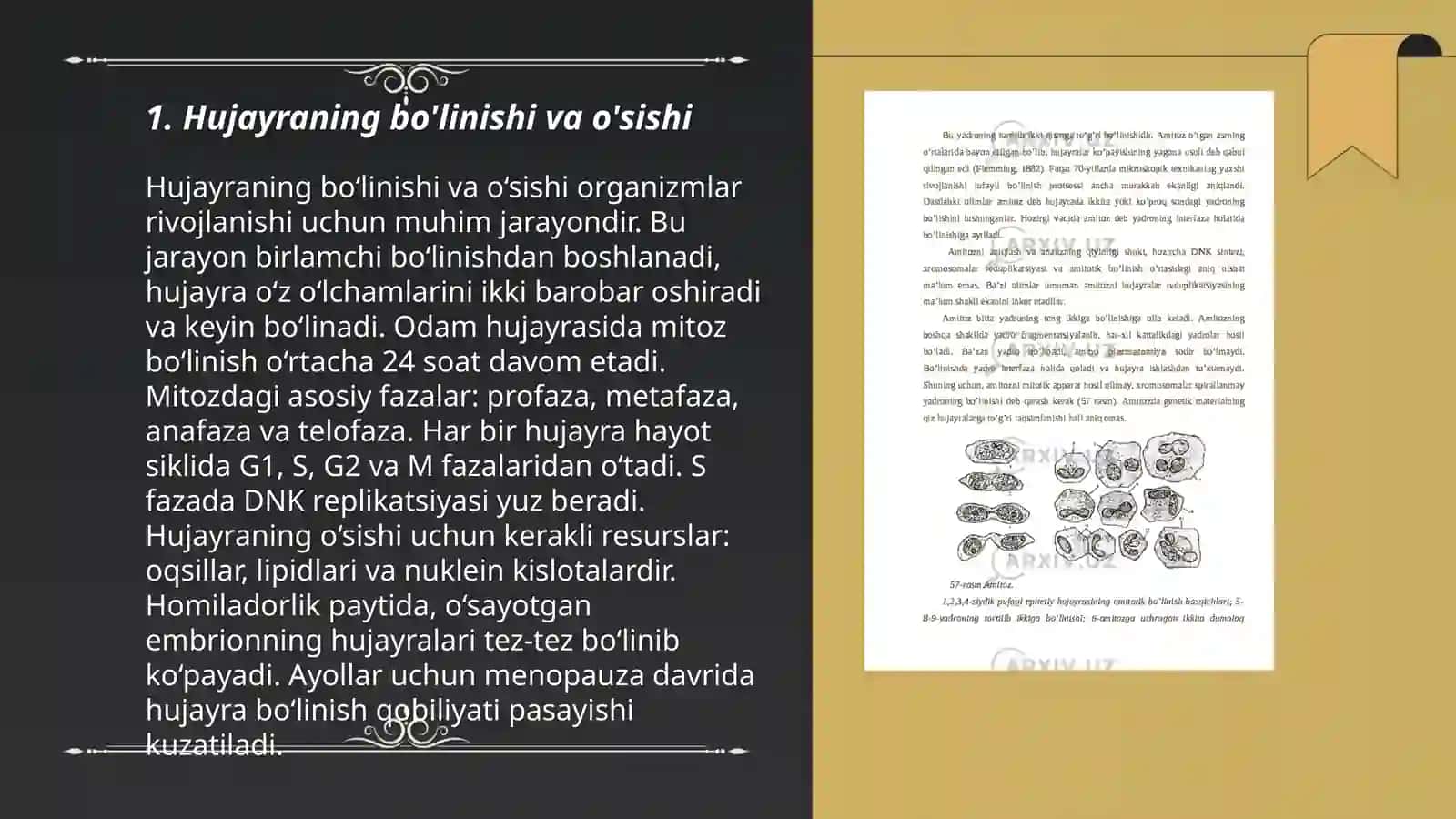 Mitozning biologik ahamiyati 3