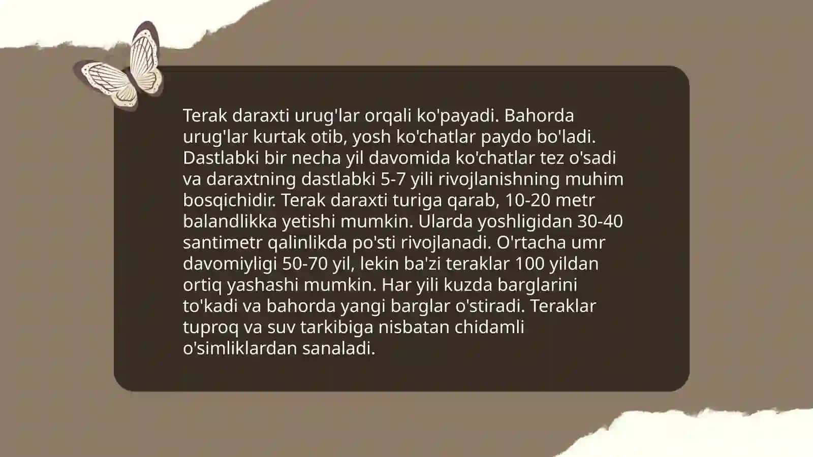 Terak daraxtining daraxt -buta oʼsimliklari 3
