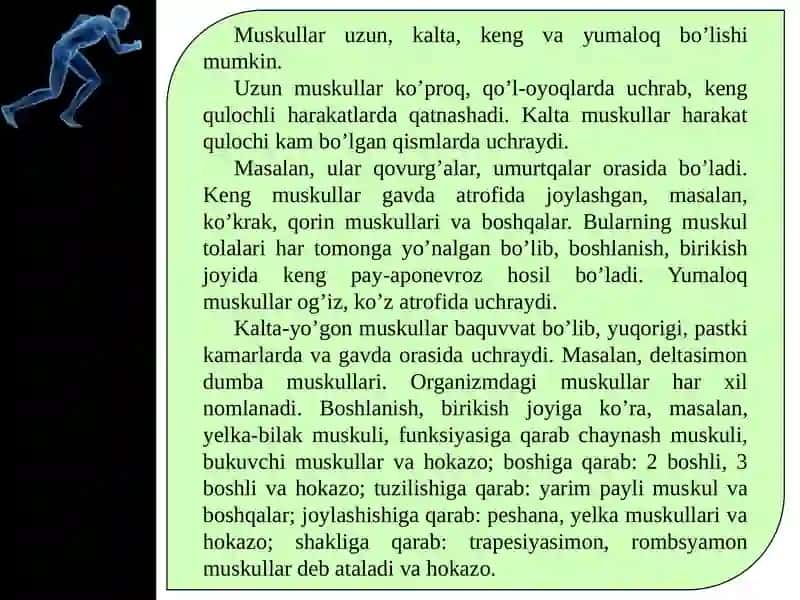 Qo’l va oyoq muskullarining tuzilishi 3