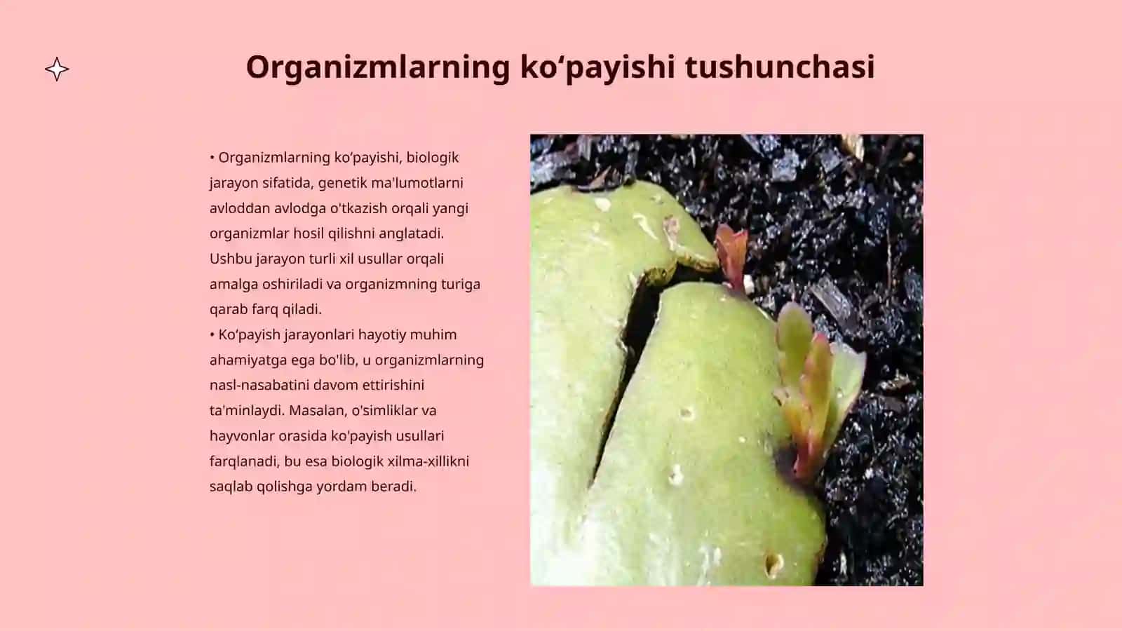 Organizmlarning koʻpayishi 3