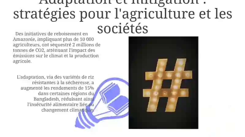 Changement climatique et ses effets sur l‘agriculture et les habitudes sociales 3