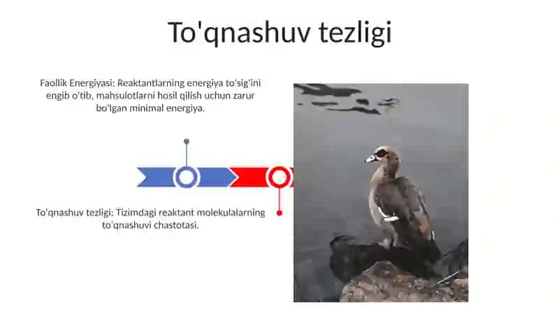 To'qnashuv nazariyasining asosiy qoidalari 3