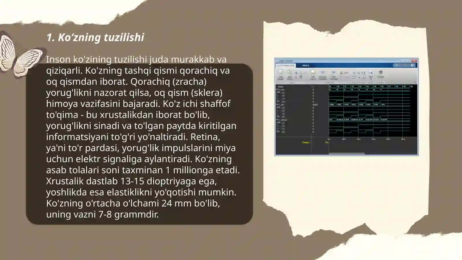 Koʻrish analizatorlari 3
