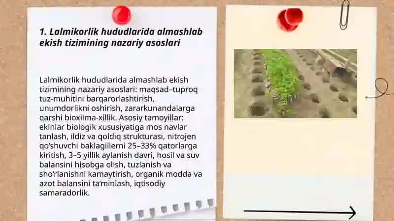 Lalmikorlik hududlarida almashlab ekish tizimlari 3
