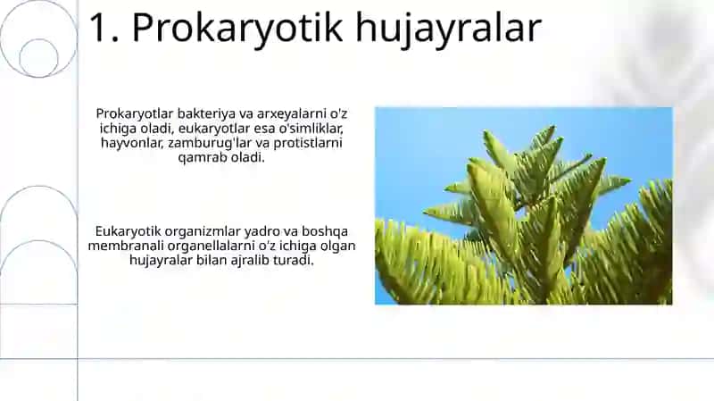 Eukaroit va prokariot organizmlar 3