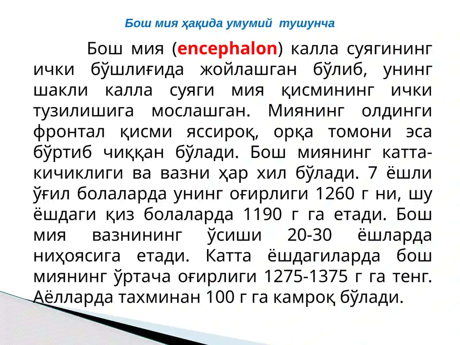 Бош мия тузилиши 3