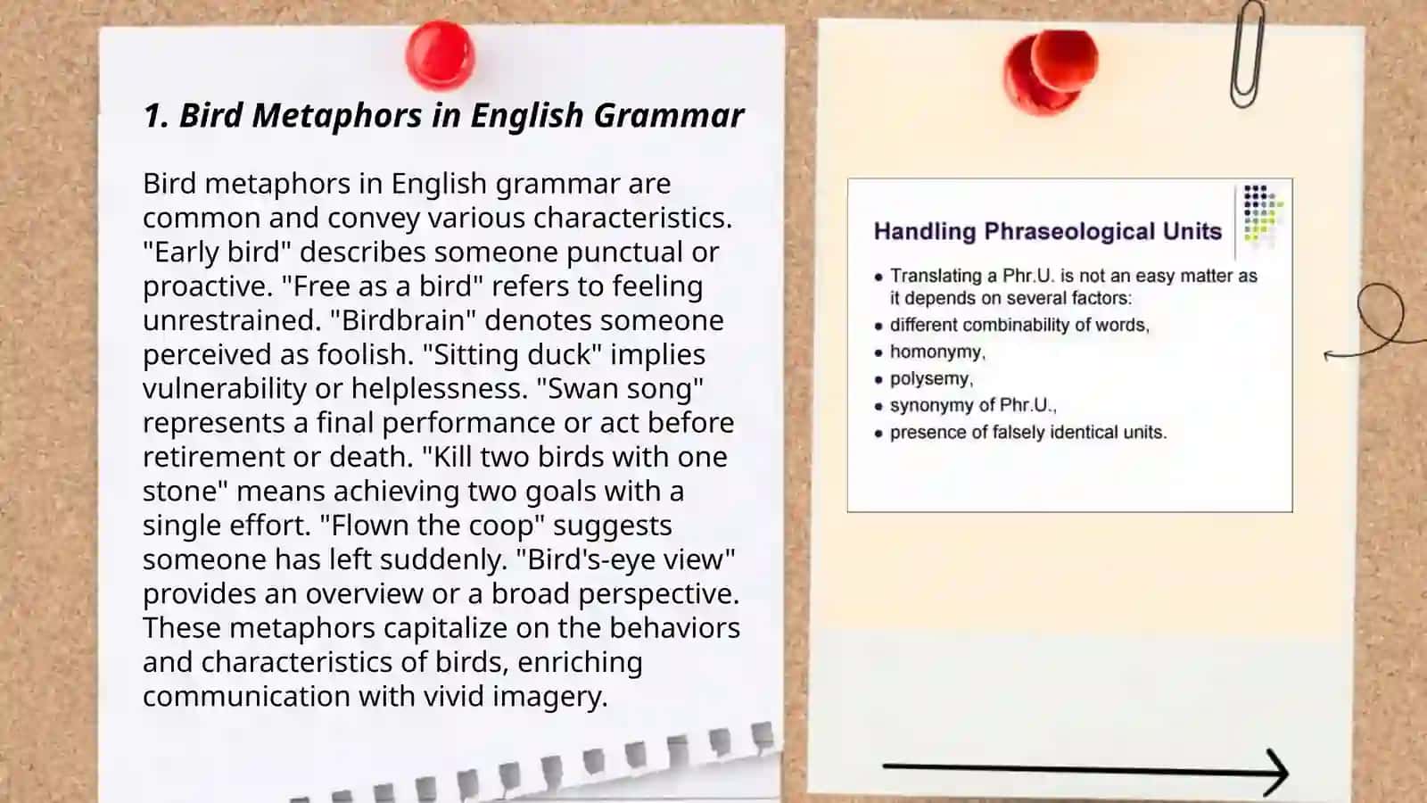 Bird Metaphors in English Grammar 3