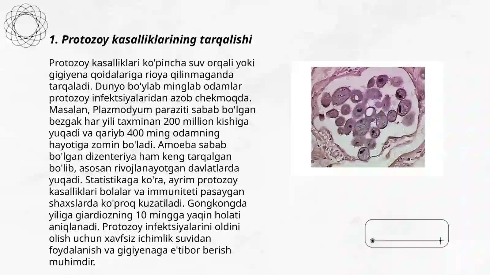 Tibbiy protozoologiya 3