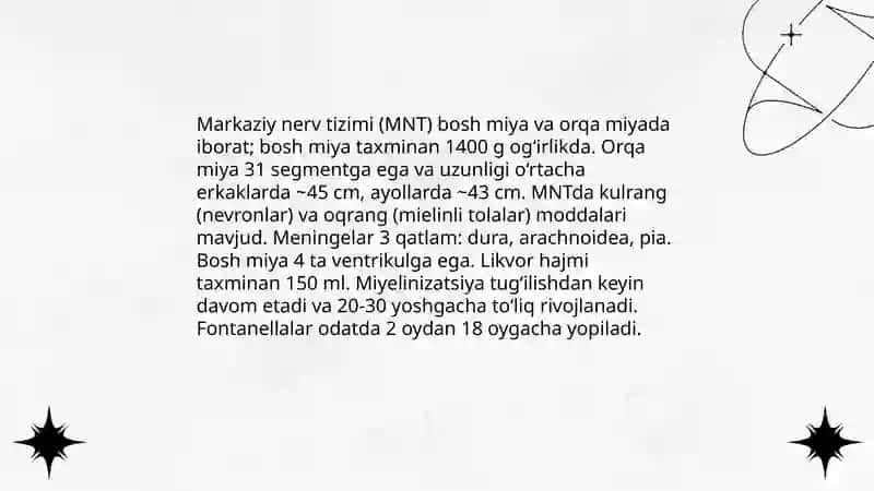 Markaziy nerv sistemasining anatomiyasi 3
