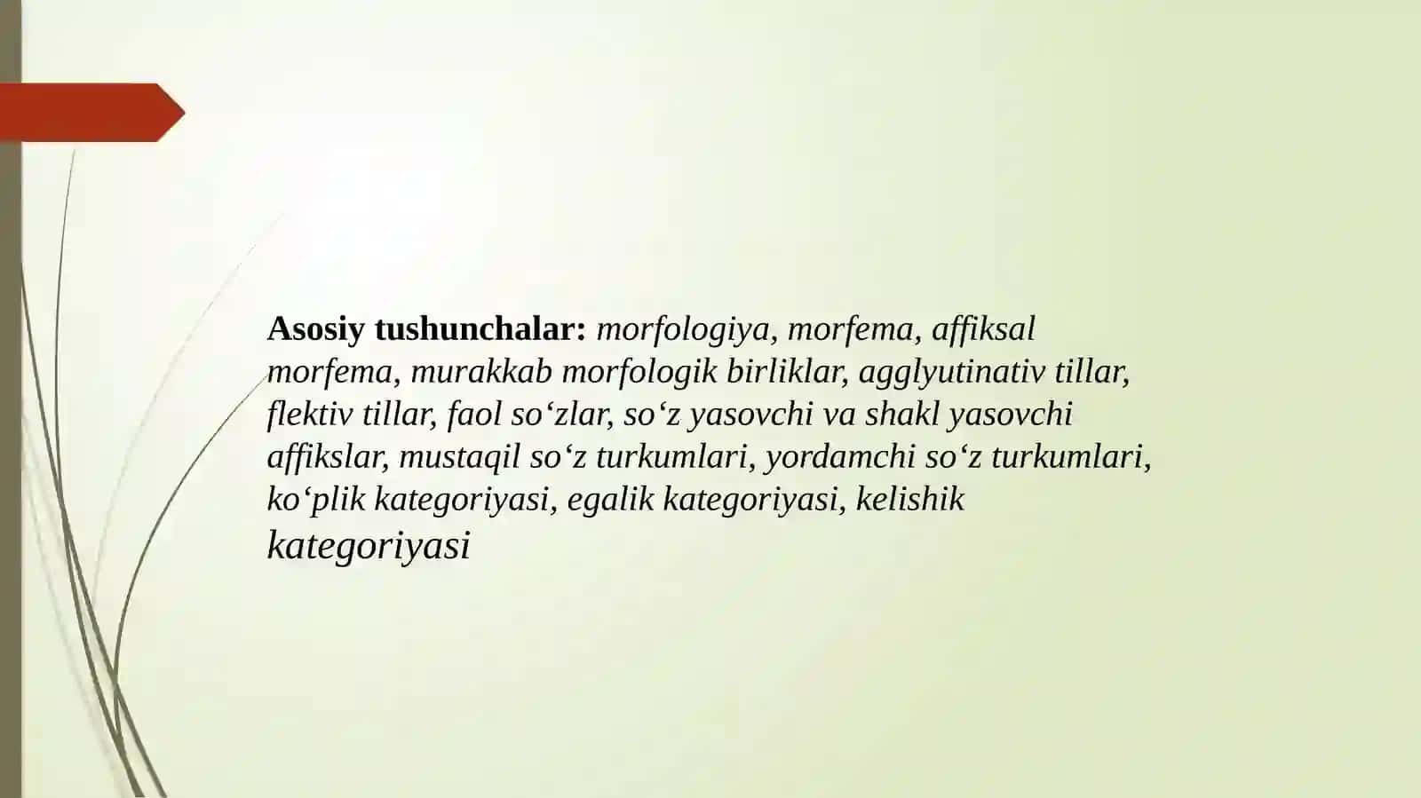 Morfologiya. Ot so‘z turkumi 3