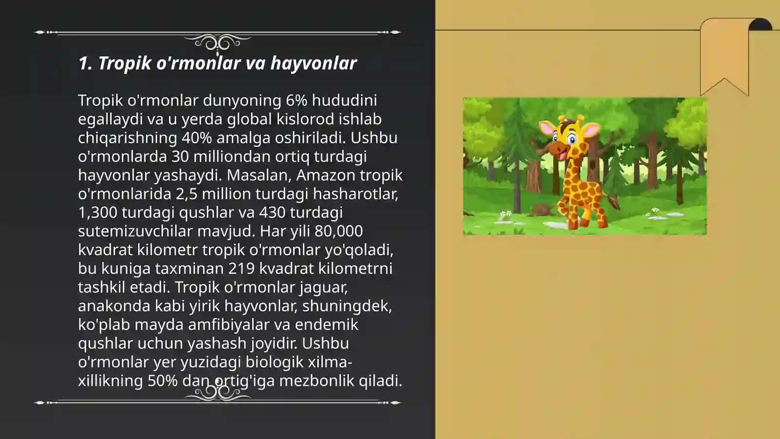 Tropik o'rmonlar va hayvonlar 3