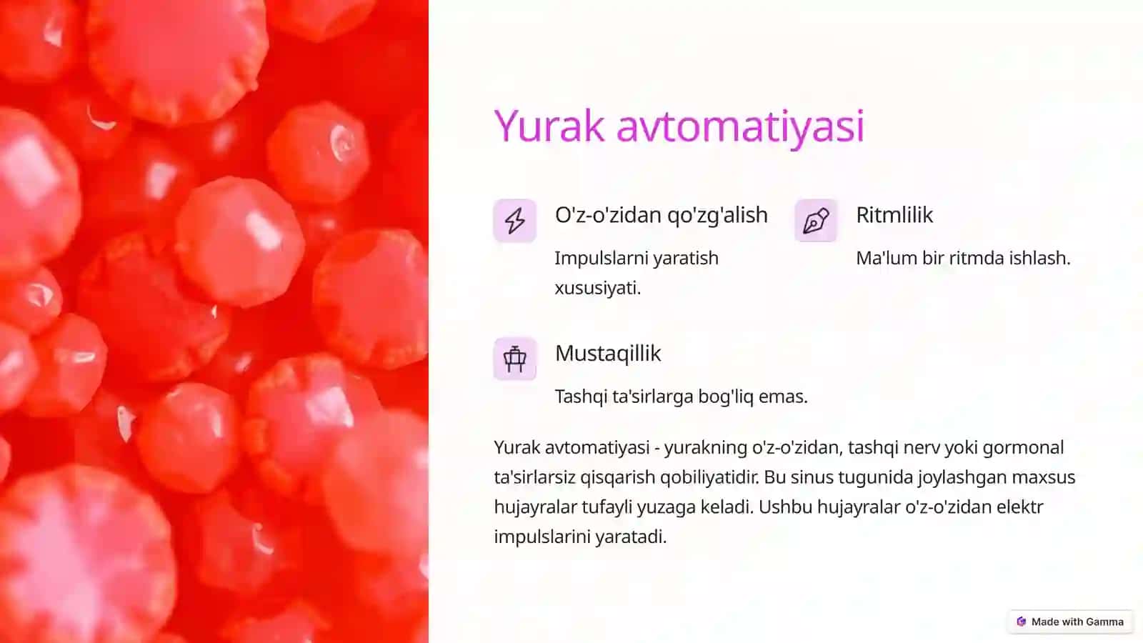 Yurak-qon tomir fiziologiyasi 3