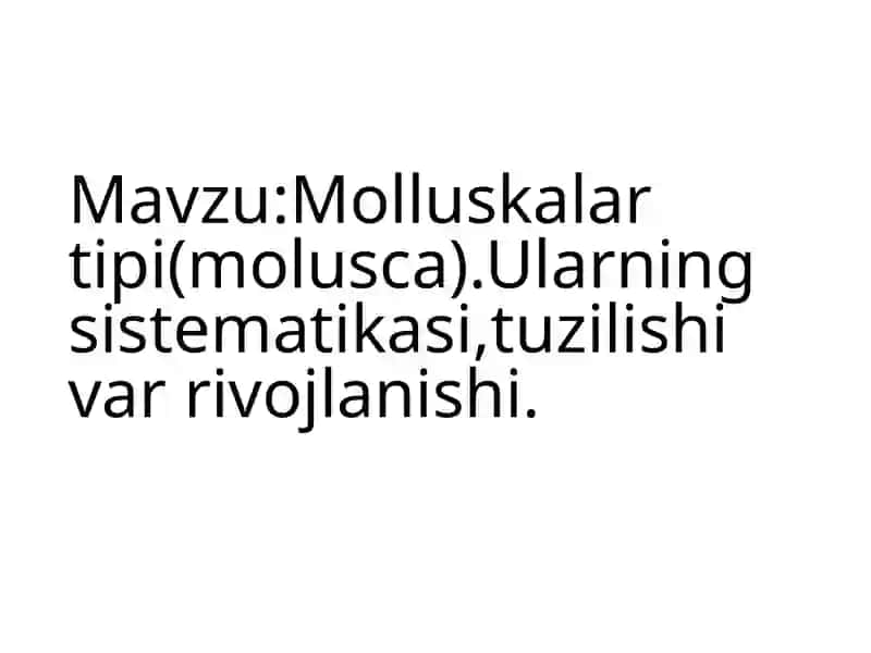 Molluskalar tipi(molusca) 3