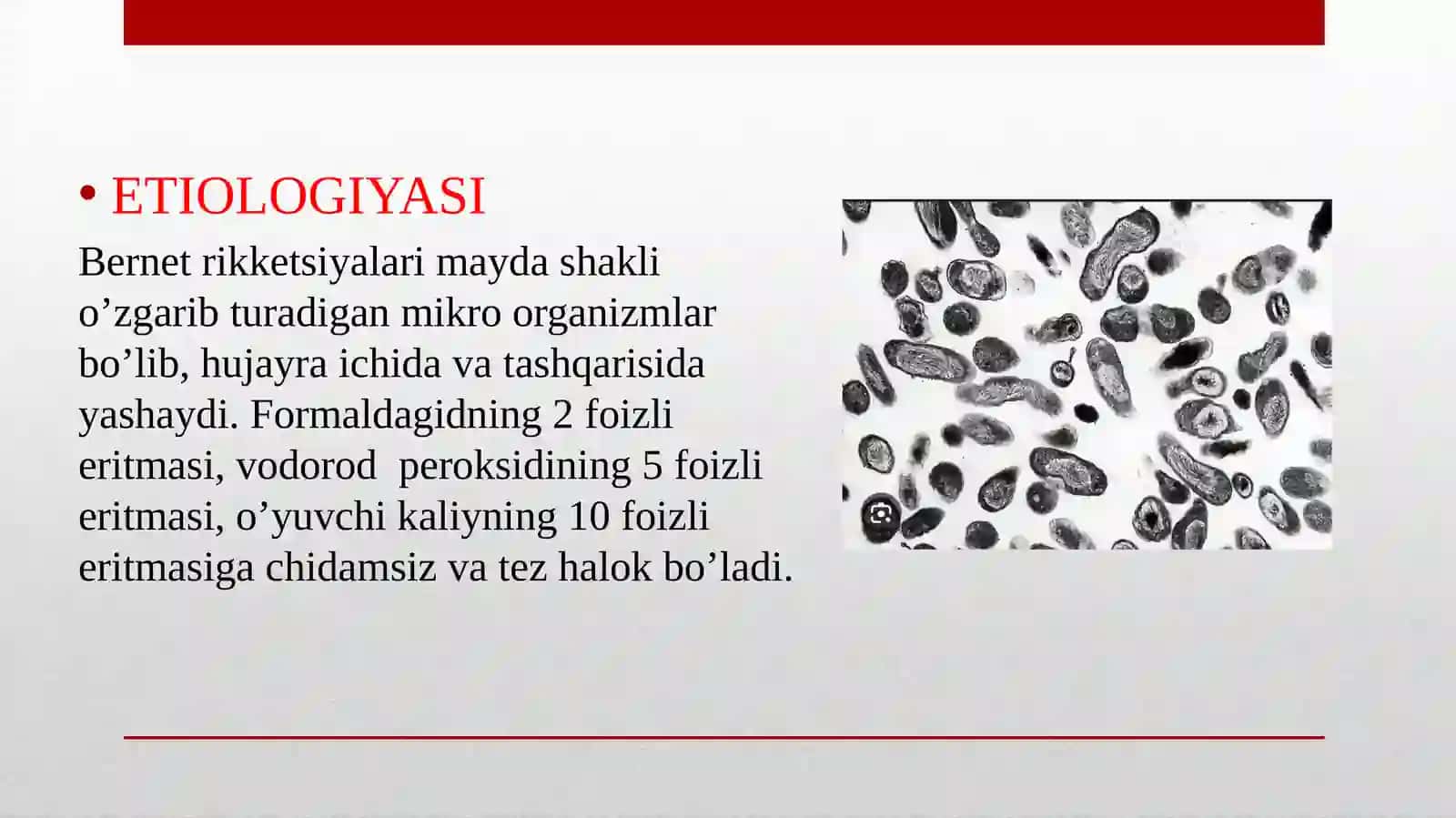 Kuisitmasi 3