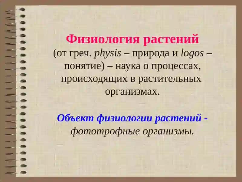Физиология растений 3