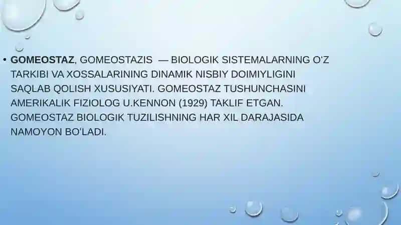 GAMEOSTAZ 3