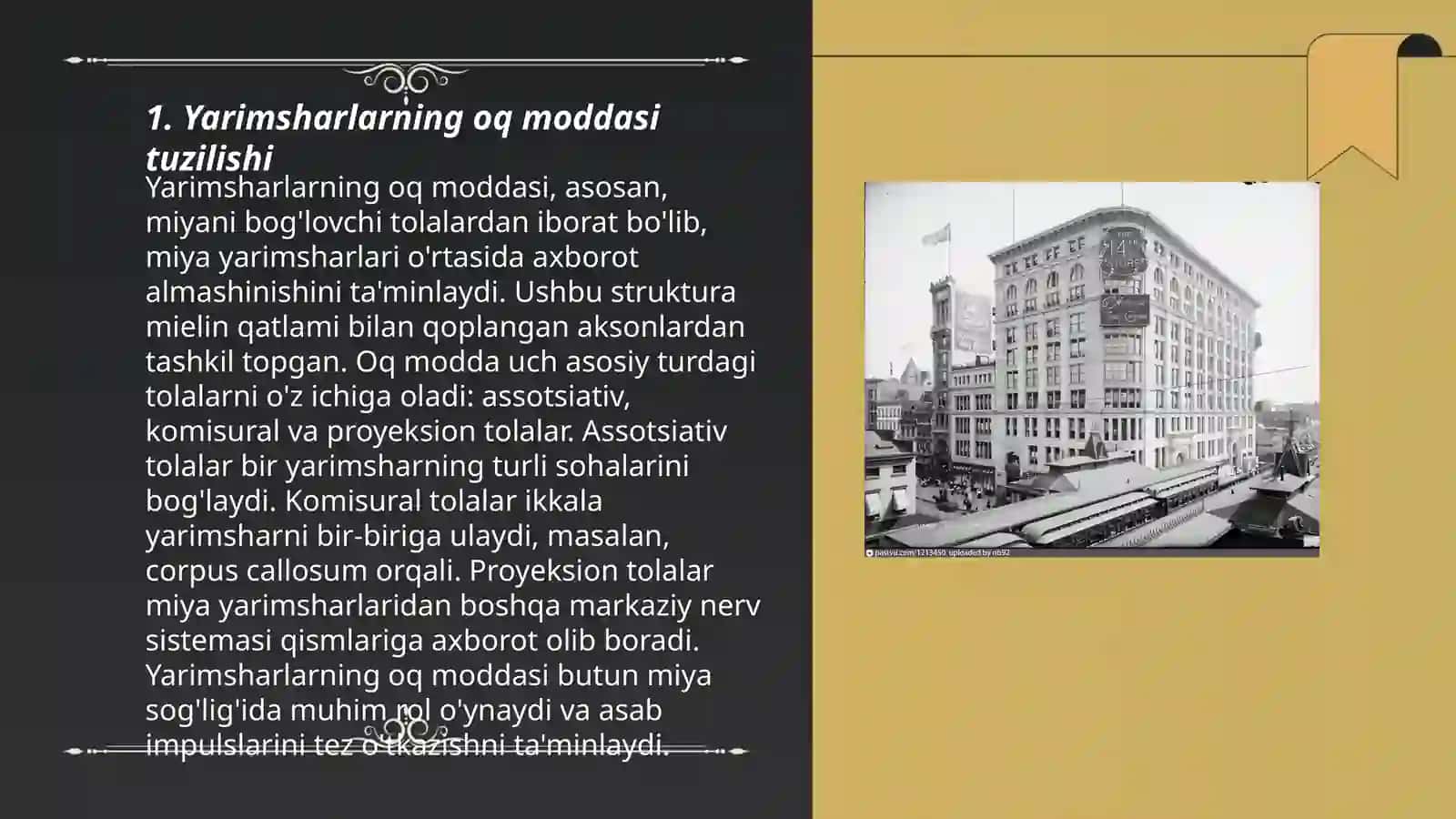 Yarimsharlarning oq moddasi 3