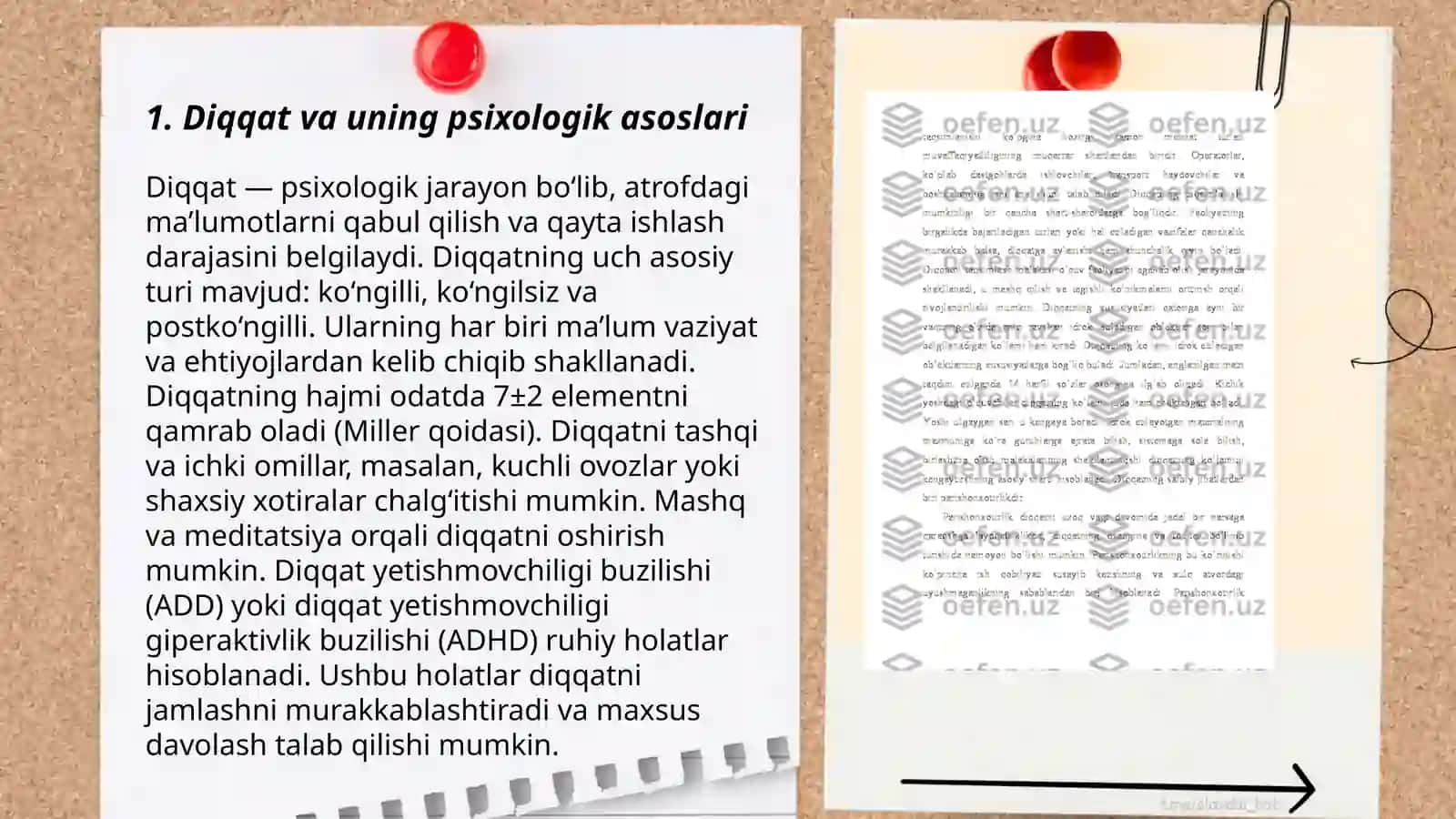 Diqqat va uning psixologik asoslari 3