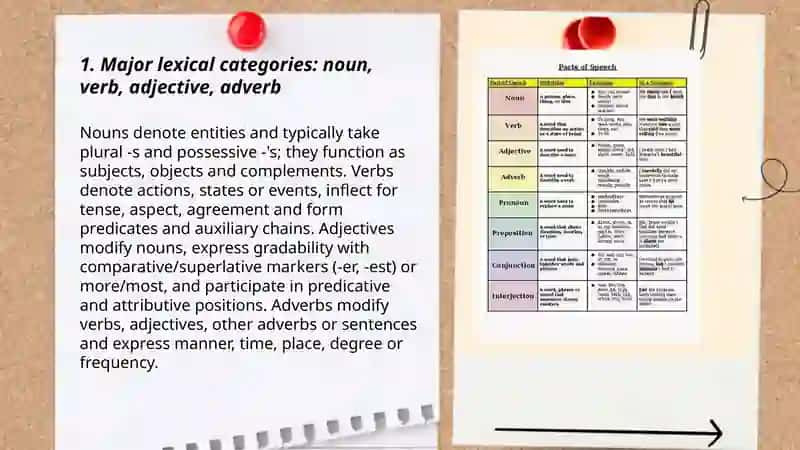 Typology of parts of speech 3