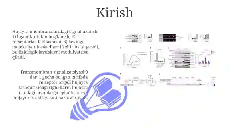 Signallarni membranalar orqali o'tkazilishi 3